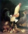 unknow artist Cock hen and chicken France oil painting art